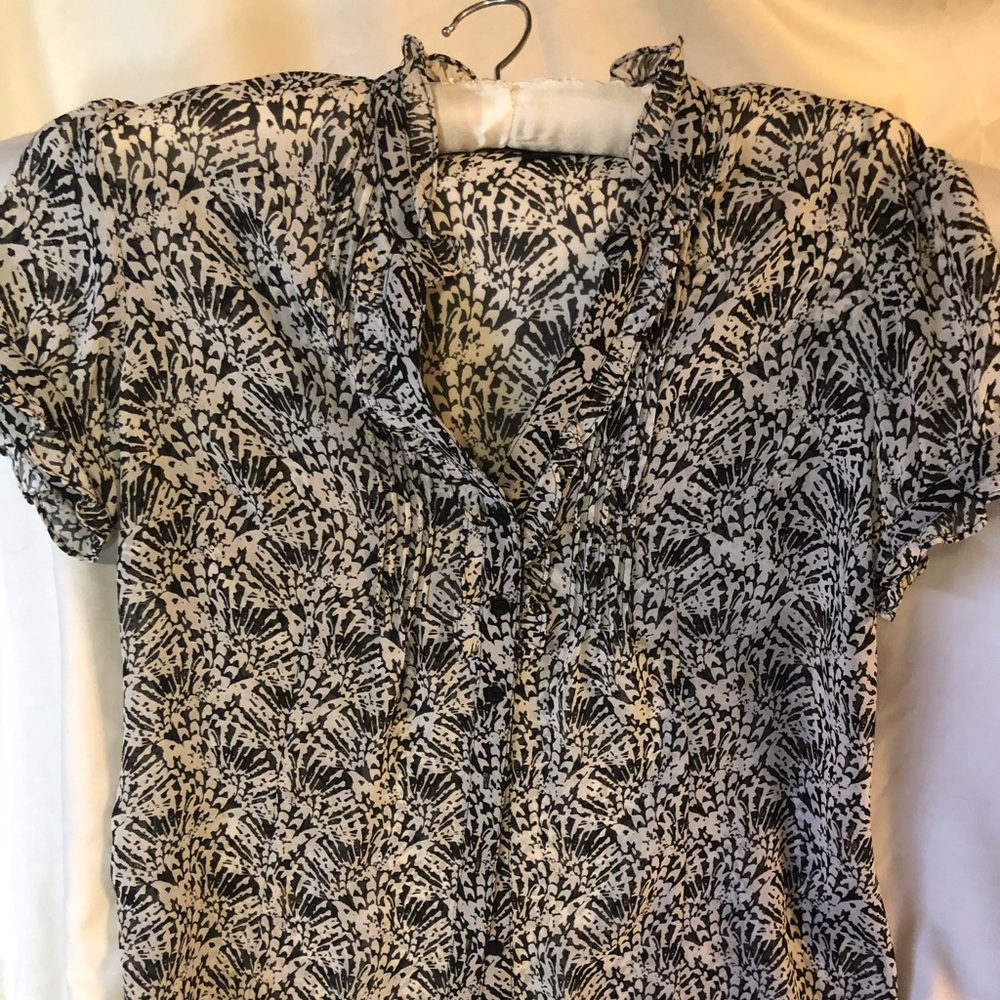 Elegant Womens’ Sheer Blouse (M: Petite)